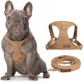 No Pull Dog Harness with Multifunction Leash - Ultra-Light Puppy Vest