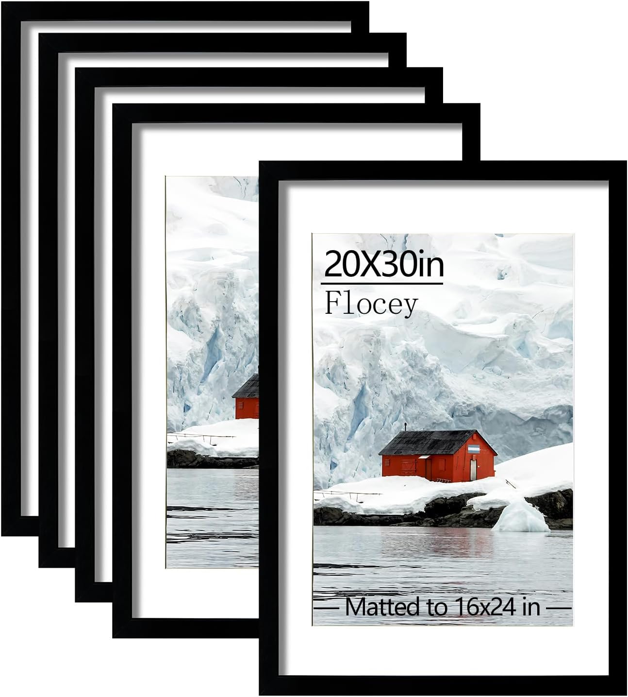 20x30 Picture Frame Set of 5 for Horizontal or Vertical Display