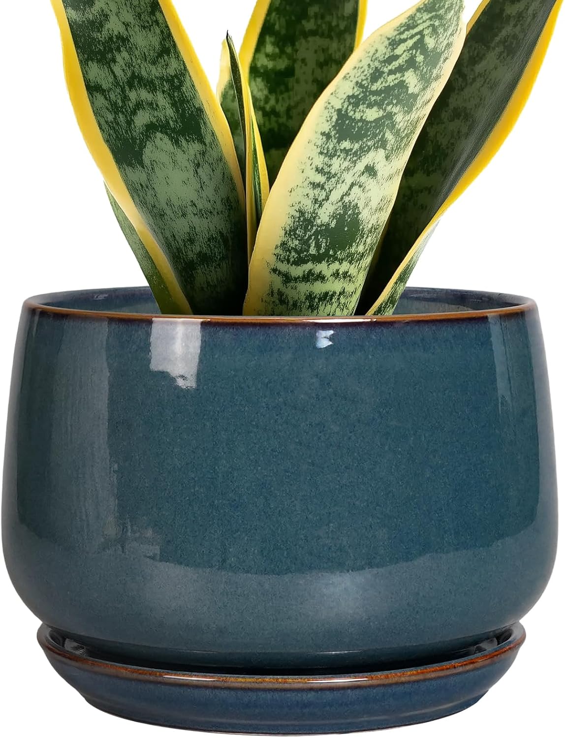 Modern 7 Inch Round Ceramic Planter with Drainage for Plants