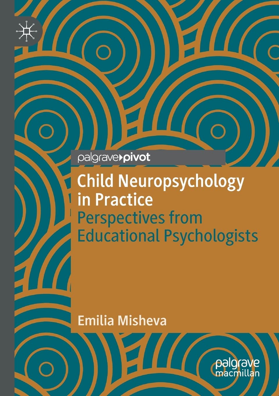 Child Neuropsychology in Practice: Insights from Experts
