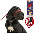 The Sidekick Dog Headcollar and Leash for Calm Companions