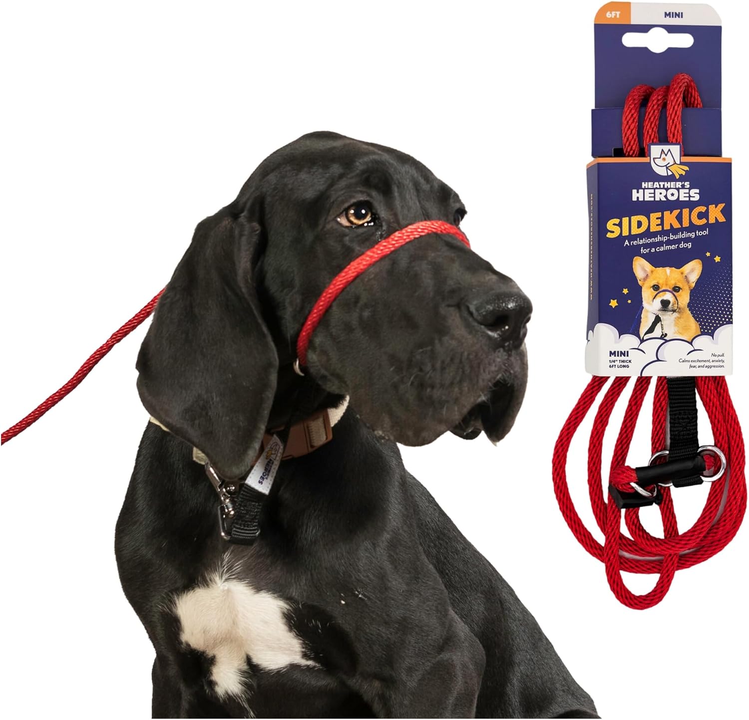 The Sidekick Dog Headcollar and Leash for Calm Companions