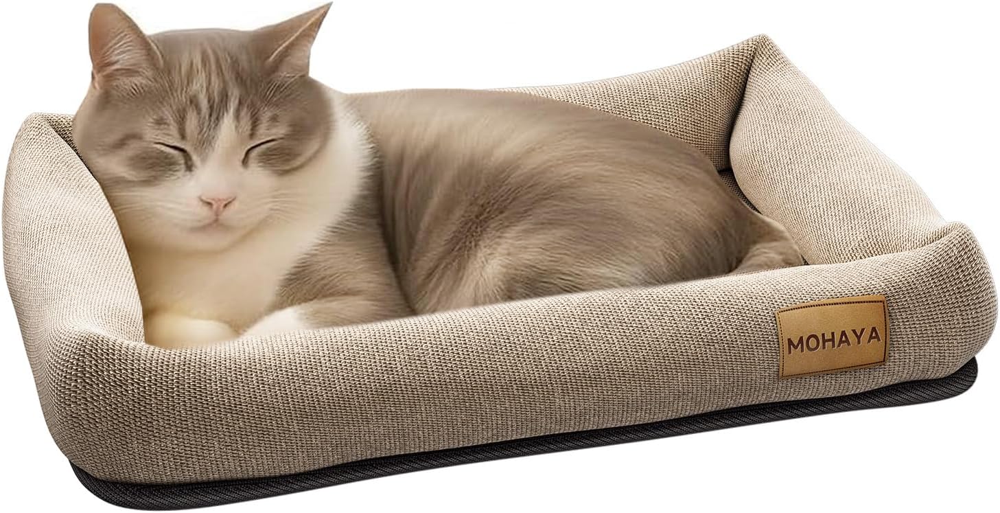 MOHAYA 2-in-1 Pet Bed & Scratch Pad for Cats and Dogs