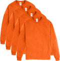 Hanes Men's Essentials Long-Sleeve T-Shirt 2-Pack - Cotton Crew
