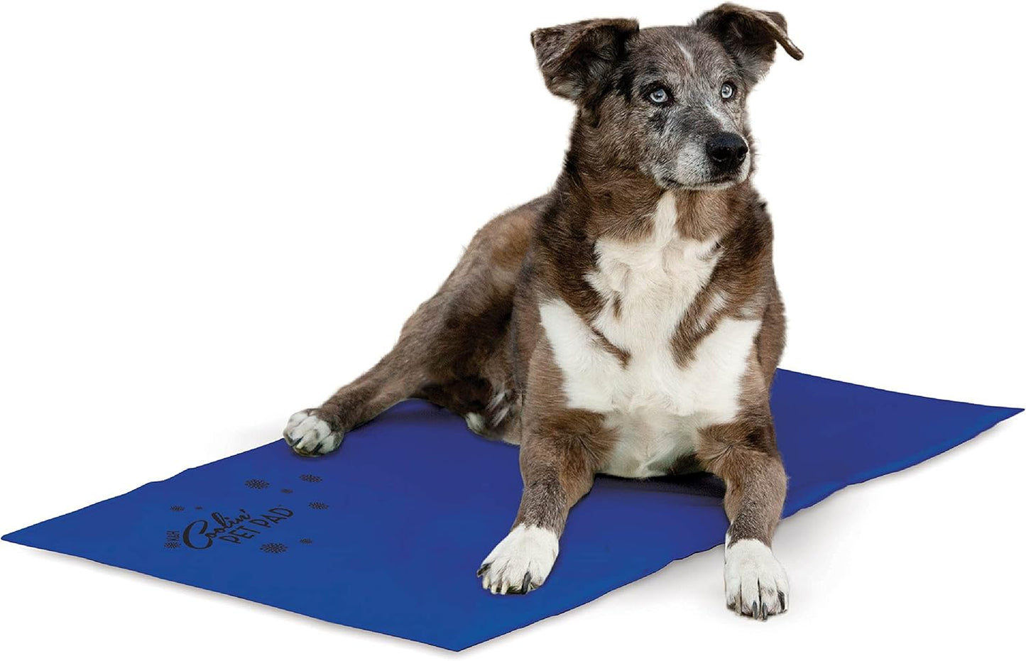 K&H Pet Products Coolin' Pet Pad for Dogs - E-Large 38 X 27in