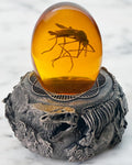 Mosquito in Amber with Jurassic Resin Base - Dinosaur Fossil Decor