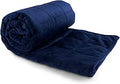 Hug Bud Kids Weighted Blanket 41 in x 60 in - 10-lb Navy Blue
