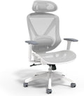 Flexfit Dexley Ergonomic Mesh Chair - Comfort in Style!
