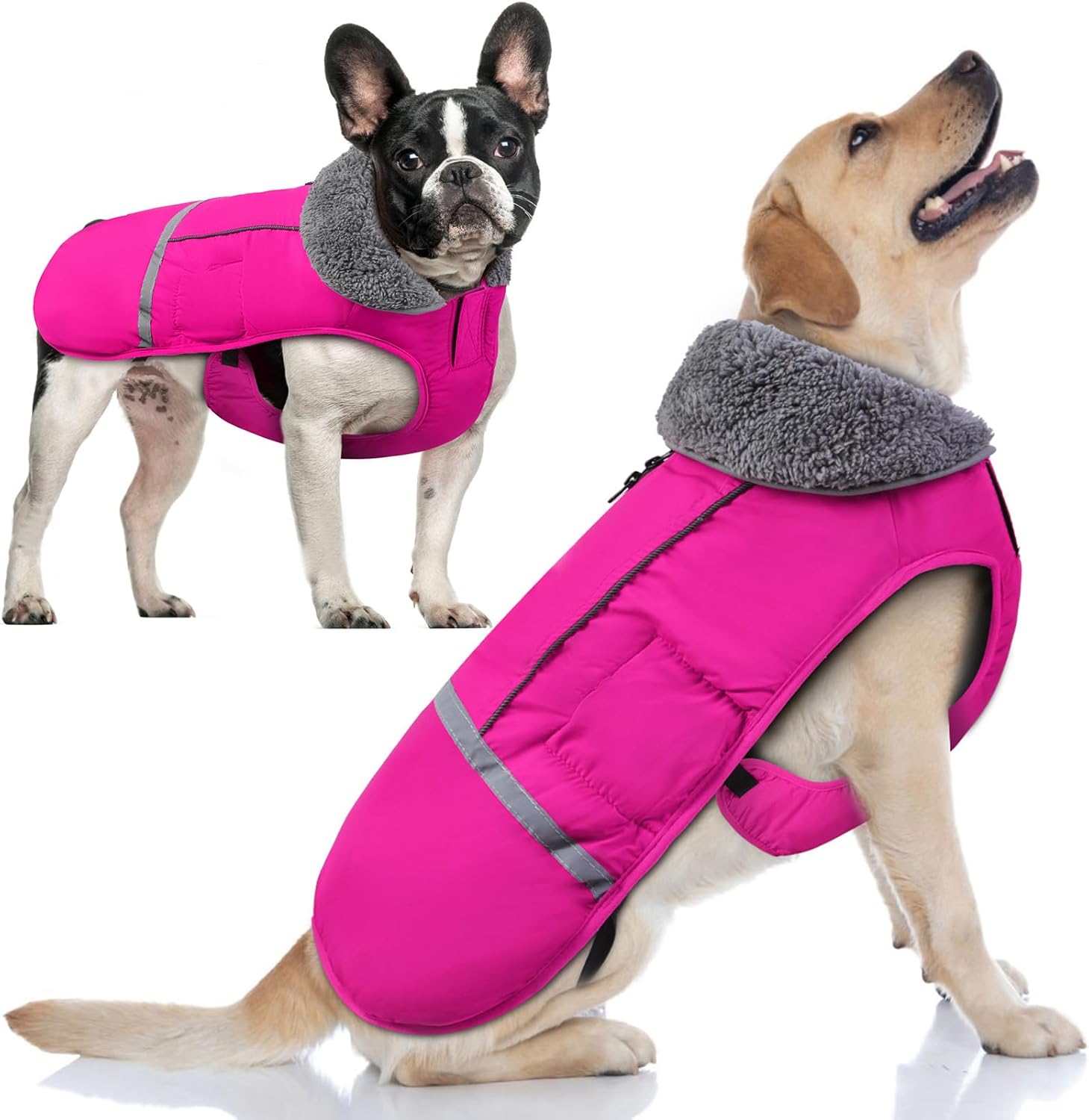 Doglay Waterproof Dog Coat for Cold Weather with Furry Collar
