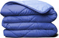 ViscoSoft Microfiber All Seasons Quilted Comforter - Reversible