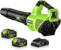 Leaf Blower Cordless 650CFM with 2 Batteries - Long Run Time