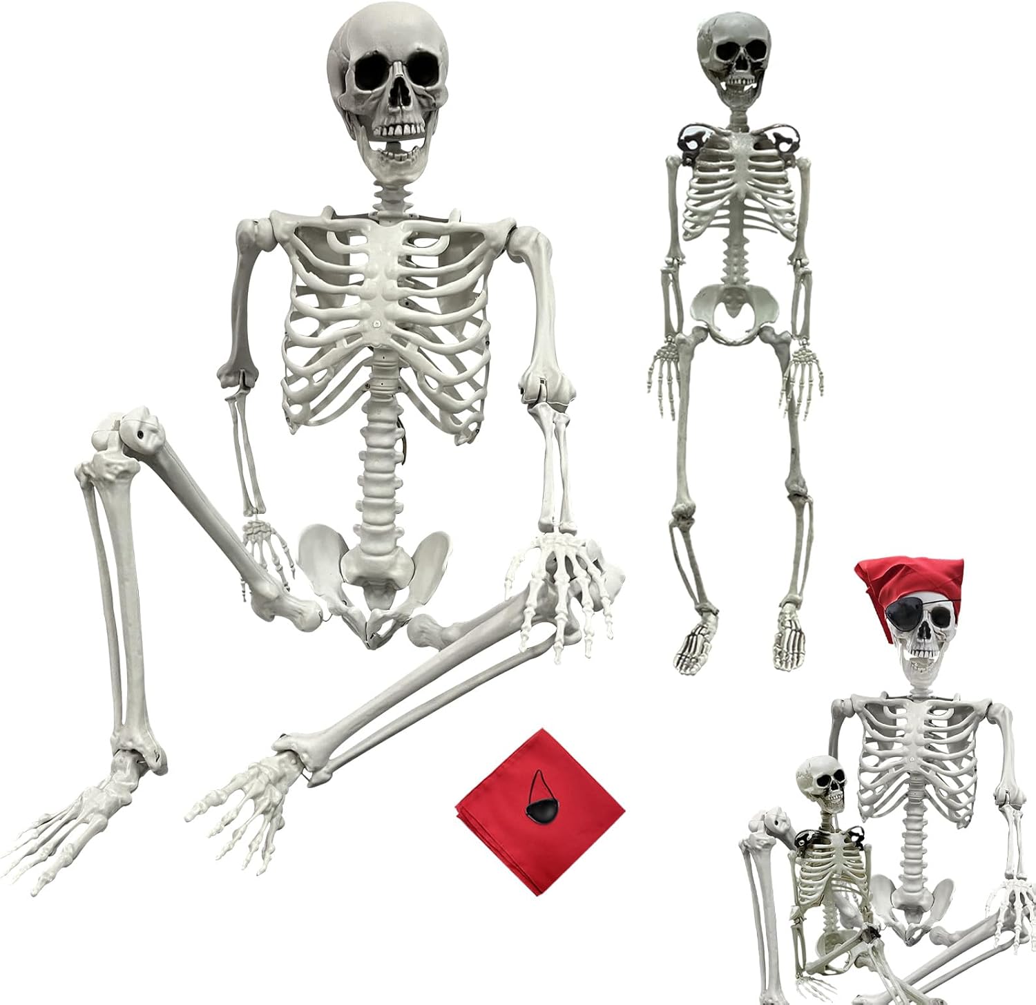 5.4ft Halloween Skeleton - Realistic Full Body Poseable Prop