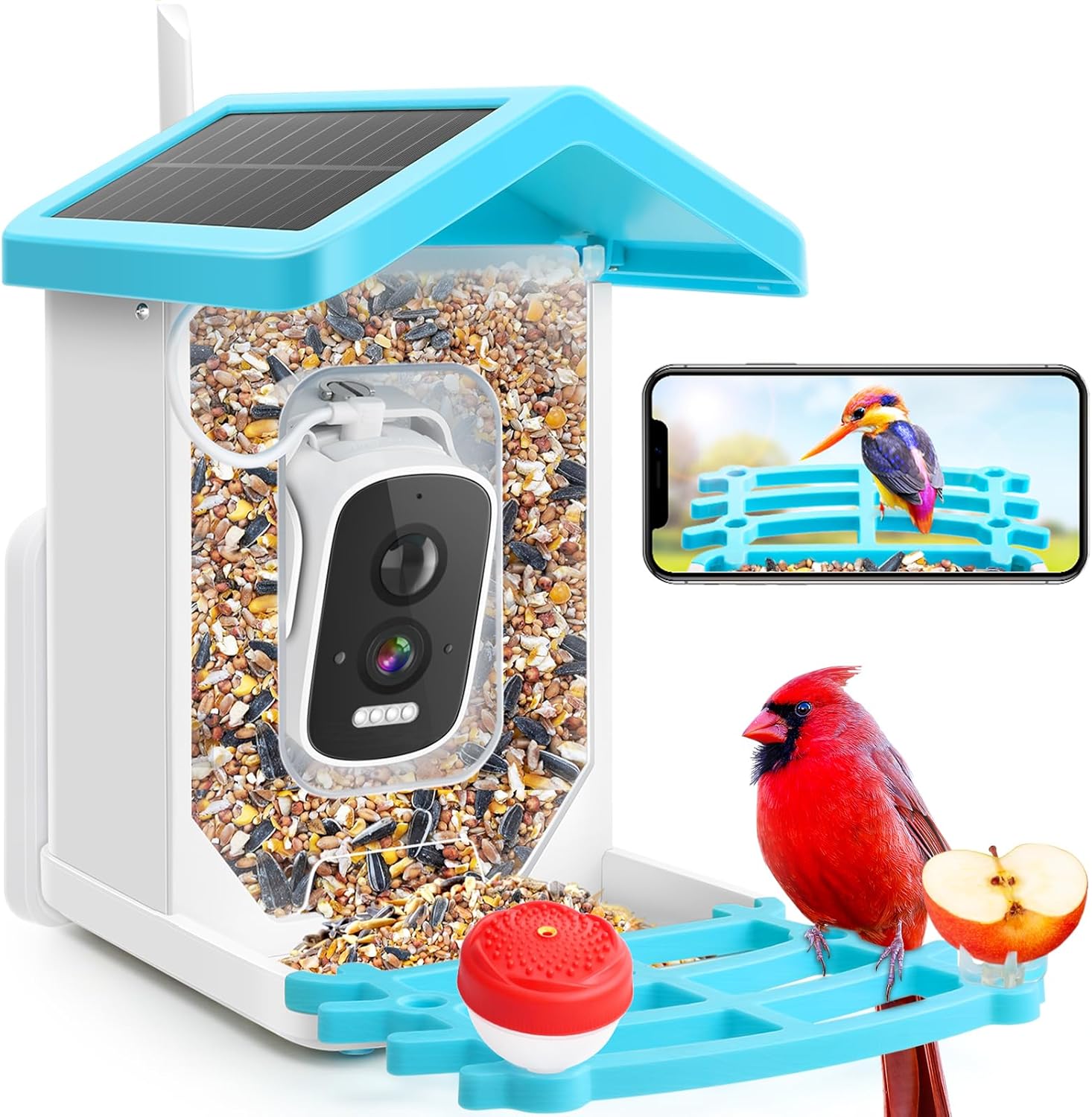 Smart Bird Feeder: AI Identify Birds, HD Cam, Solar Powered
