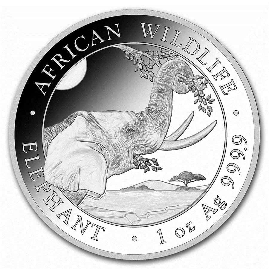 2023 Somalian Elephant One Ounce Silver Coin for Collectors