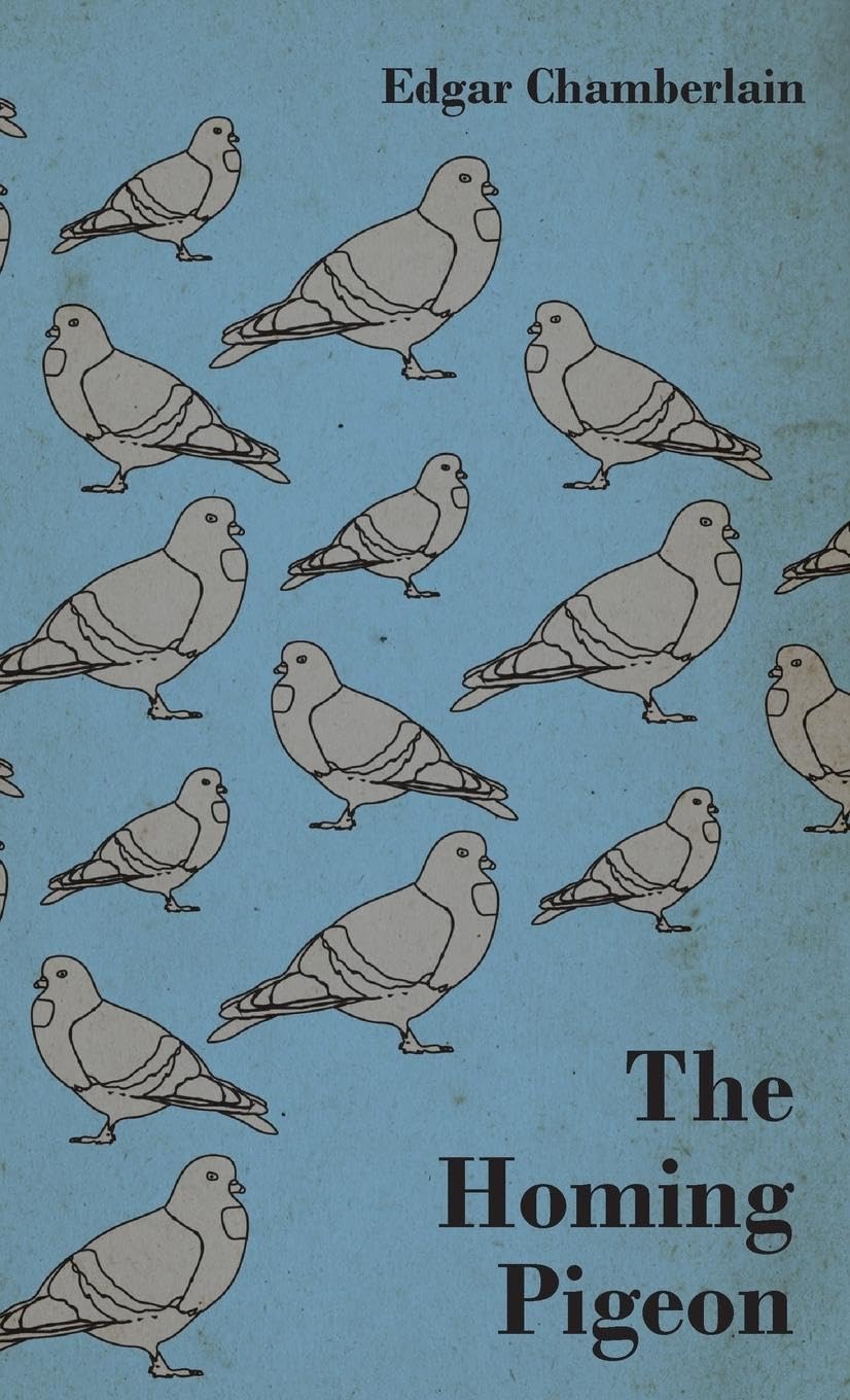 The Homing Pigeon by Edgar Chamberlain - A Unique Companion