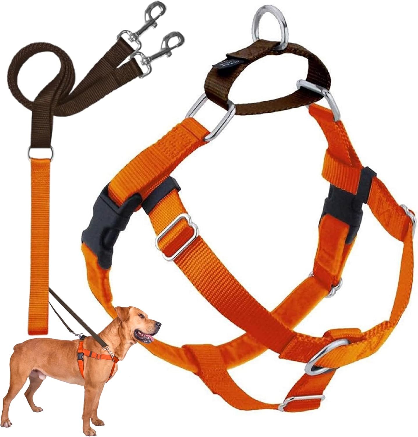 Freedom No Pull Dog Harness for Easy Walking & Control