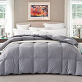 Pinzon All-Season Ultra Soft Feather Down Comforter - Full/Queen