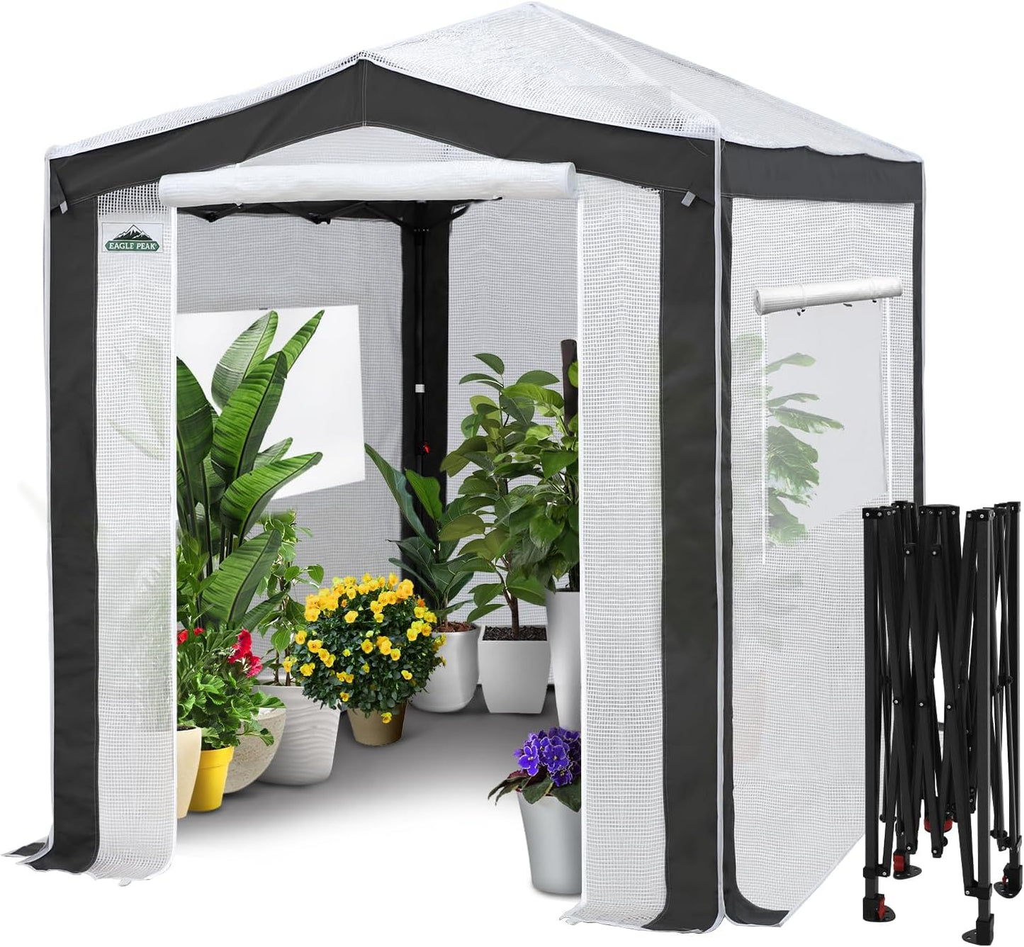EAGLE PEAK 8x6 Portable Walk in Greenhouse for Easy Gardening