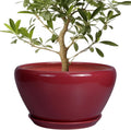 Ceramic Planter 13 in Red - Indoor Pot with Drainage and Saucer