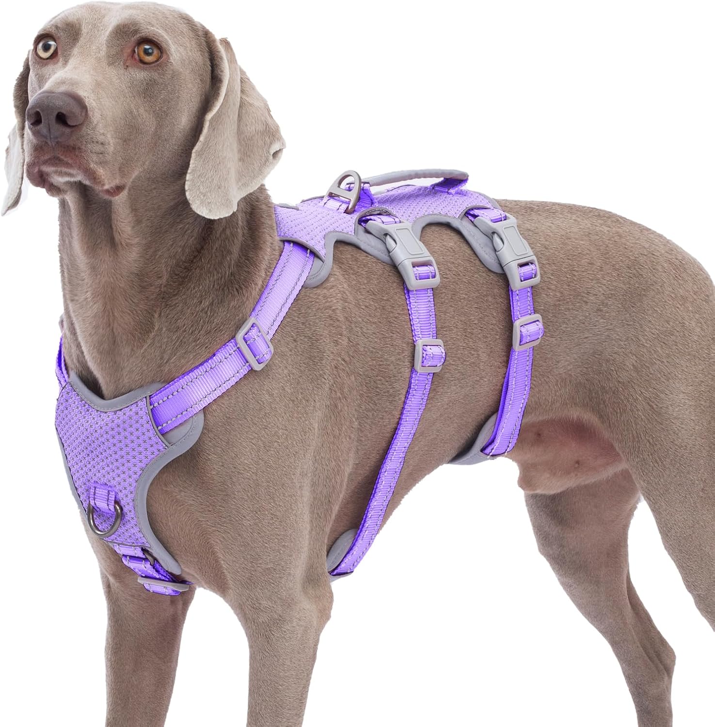 Escape Proof Dog Harness with Reflective Design for Safety