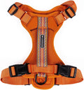 Wilderdog Lightweight Dog Harness Medium Sienna - Trail Ready