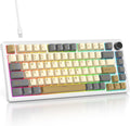 Custom TKL Mechanical Keyboard with Gasket & Knob