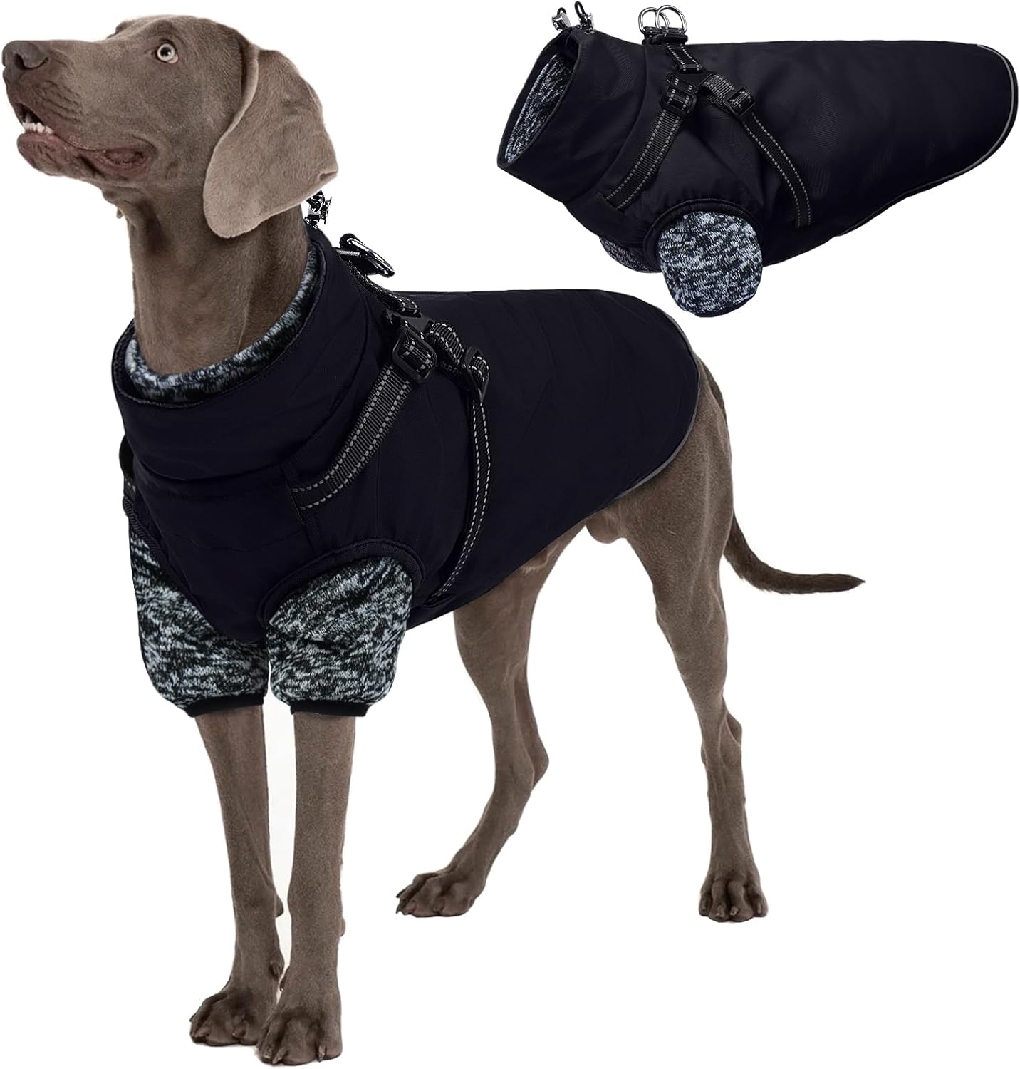 3 in 1 Waterproof Dog Winter Jacket with Harness for Dogs