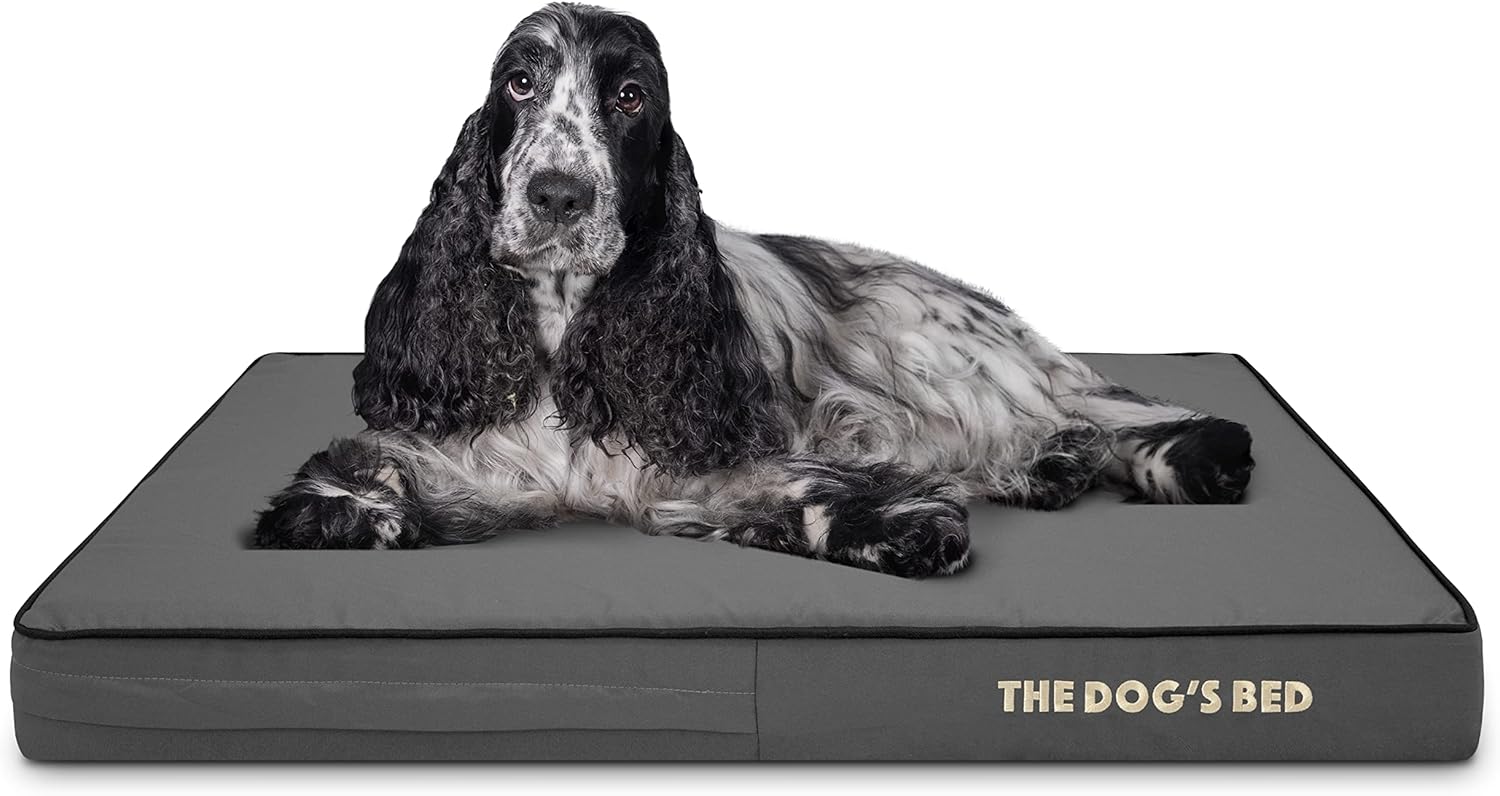 Orthopedic Memory Foam Dog Bed for Comfort and Support