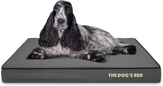 Orthopedic Memory Foam Dog Bed for Comfort and Support