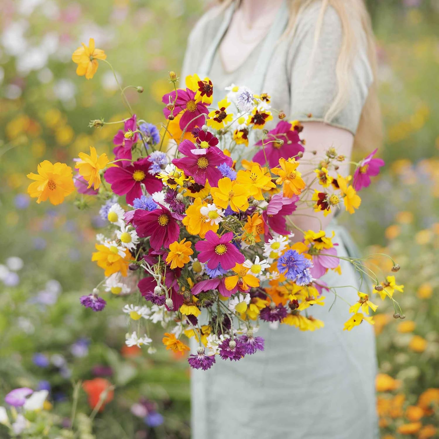 Midwest Wildflower Mixed Seeds for Planting - 1 lb of Beauty