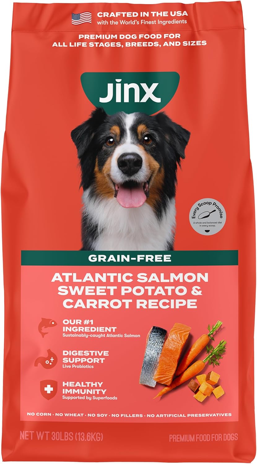 Jinx Premium Grain-Free Dry Dog Food with Real Salmon & Superfoods