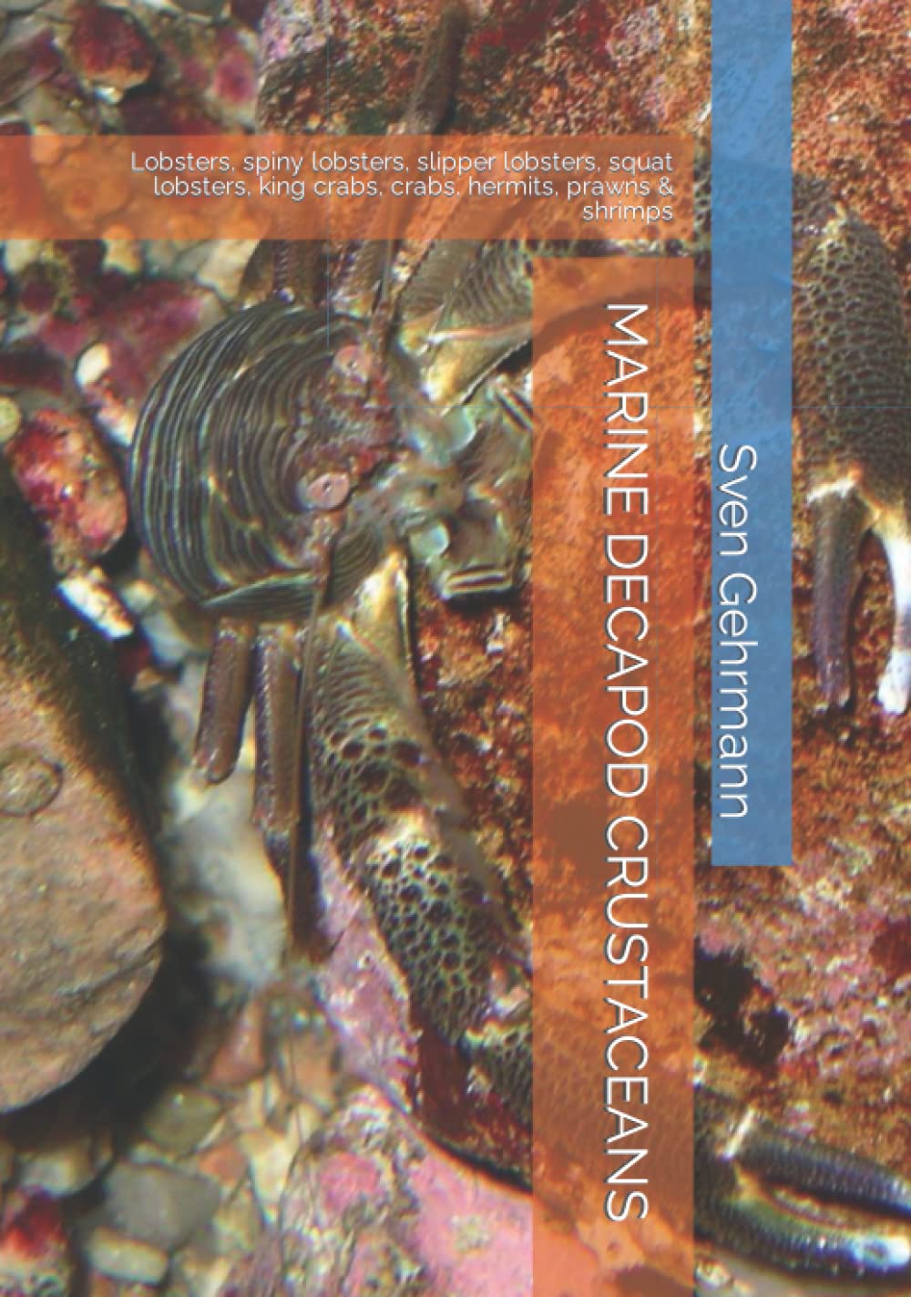 Marine Decapod Crustaceans: A Comprehensive Guide to Lobsters