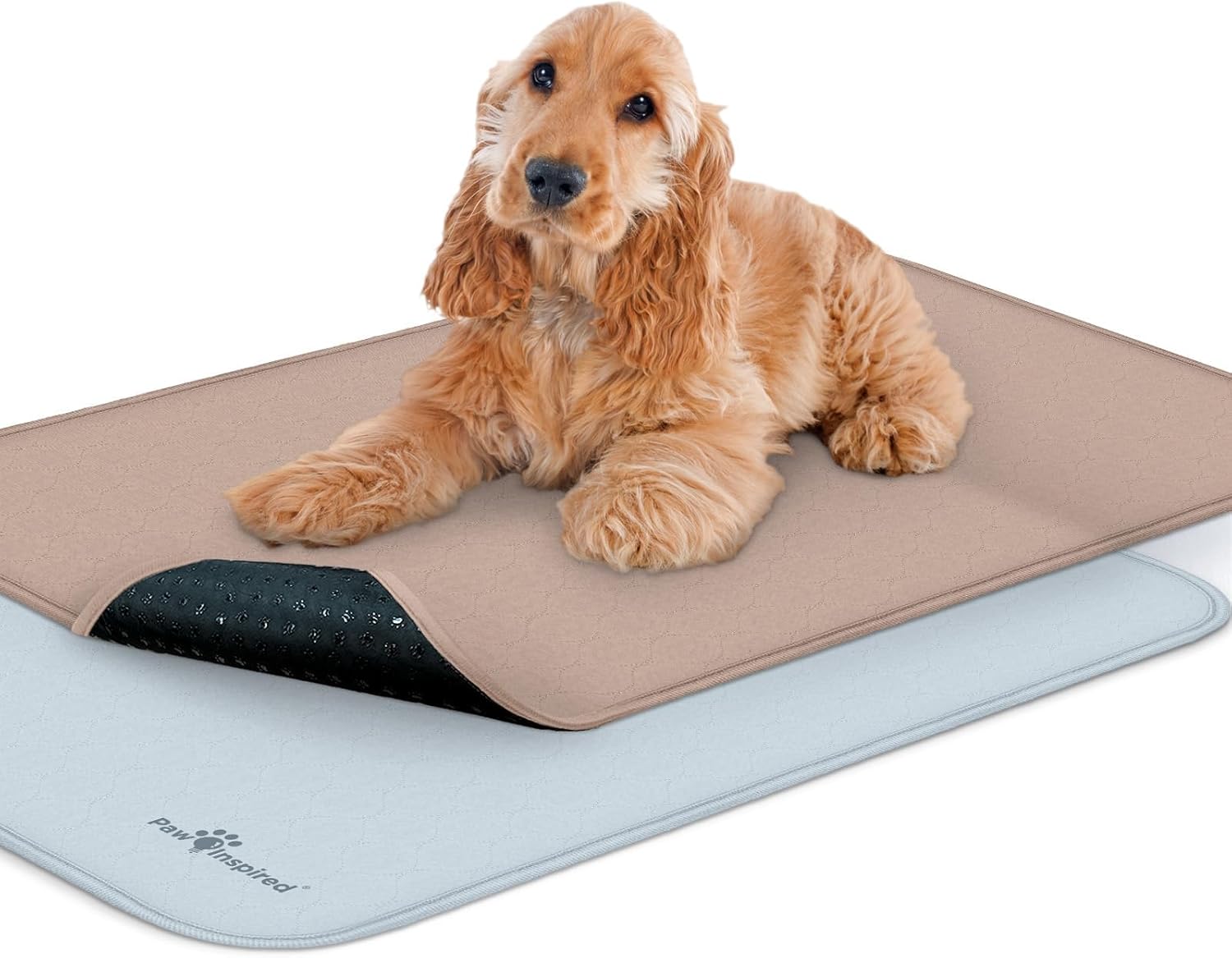Paw Inspired Washable Crate Liners for Dogs - 2 Pack Leakproof