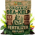Organic Sea Kelp Fertilizer Water-Soluble Powder - Makes 200 Gallons