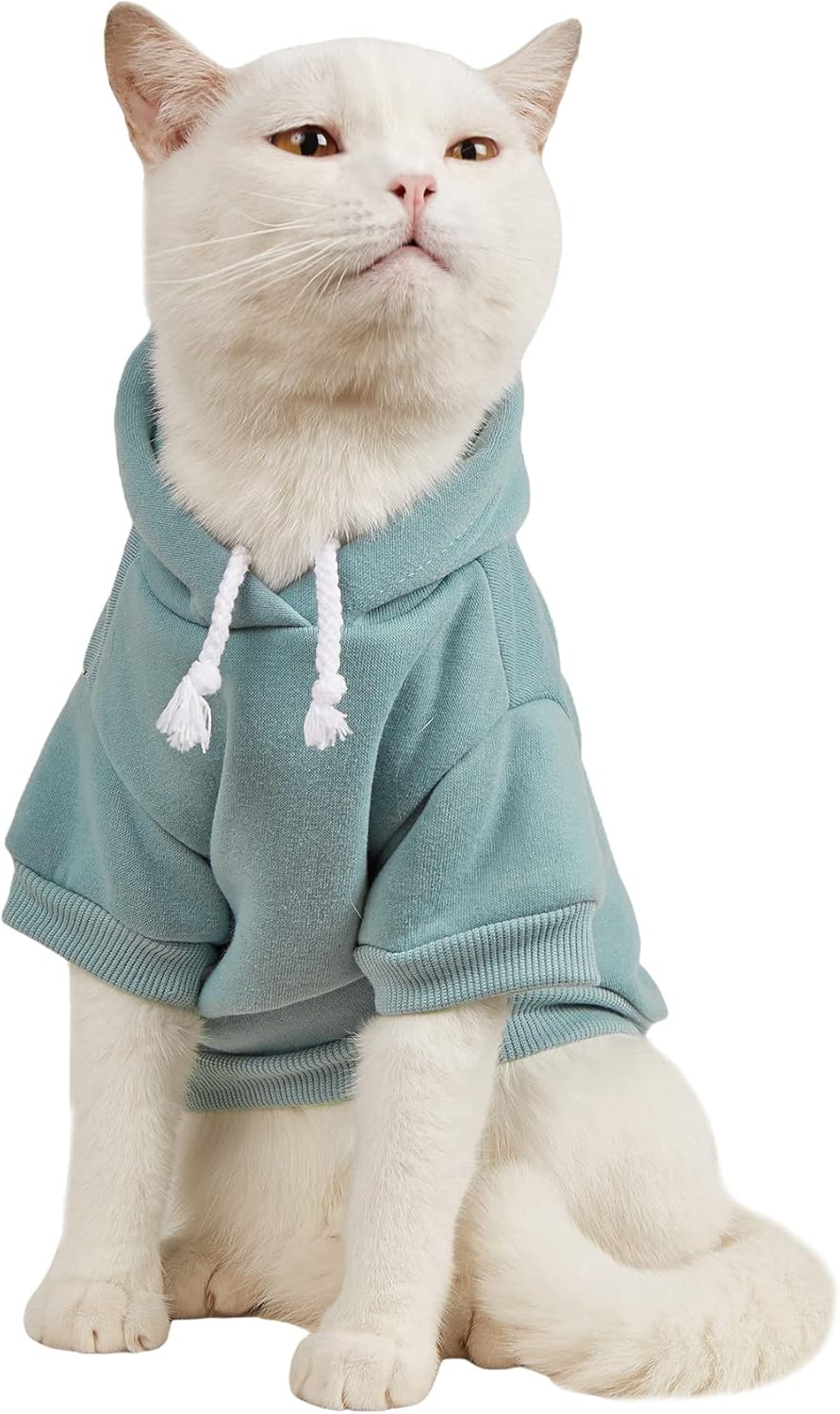 Cozy Cadet Blue Pet Hoodie by QWINEE