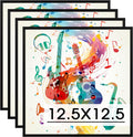 Homso Metal Vinyl Record Frame for 12.5x12.5 inch Albums