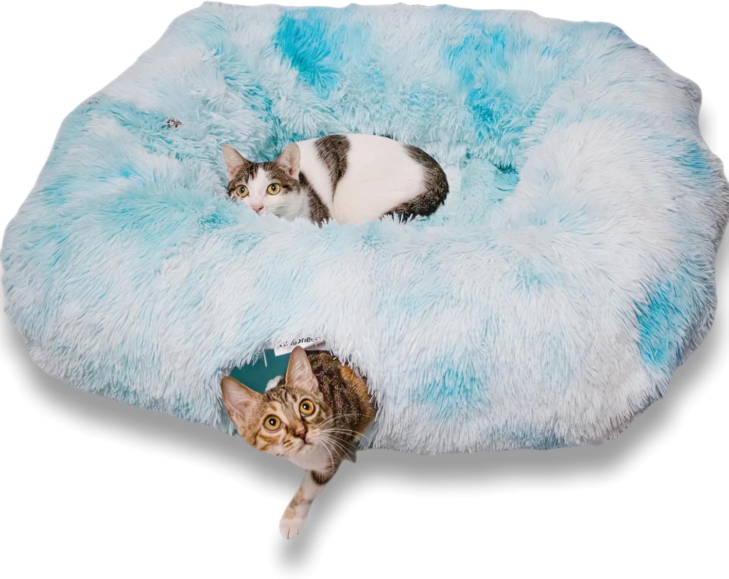 XxingSheep XL Cat Tunnel with Bed for Indoor Cats and Dogs