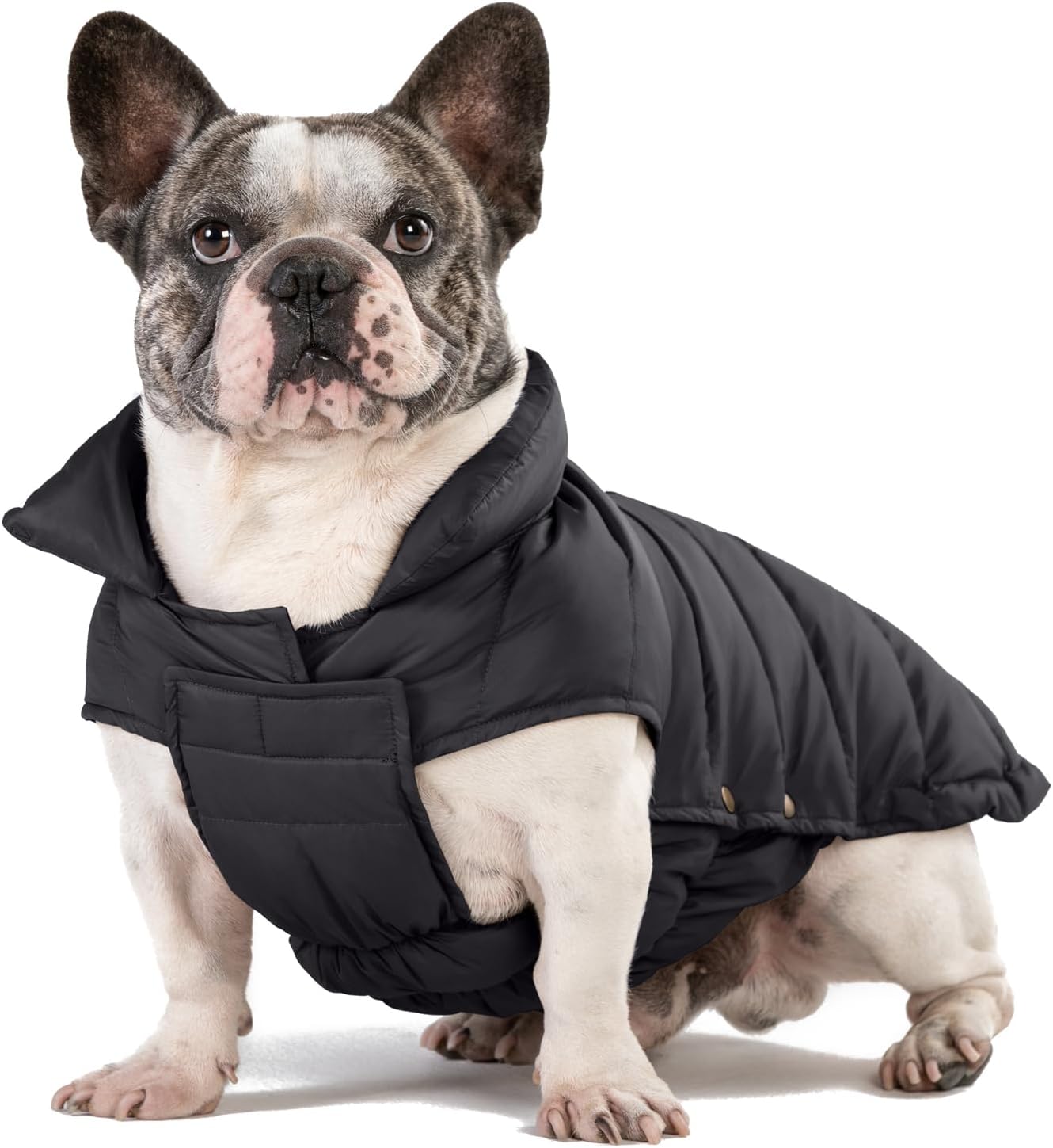 SPACE LION Dog Puffer Jacket for Cold Weather Protection