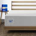 Thread Spread 1000-Thread-Count Egyptian Cotton Queen Fitted Sheet