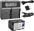 Kastar LCD Dual Smart Fast Charger & Battery Pack - Dual Fast Charge