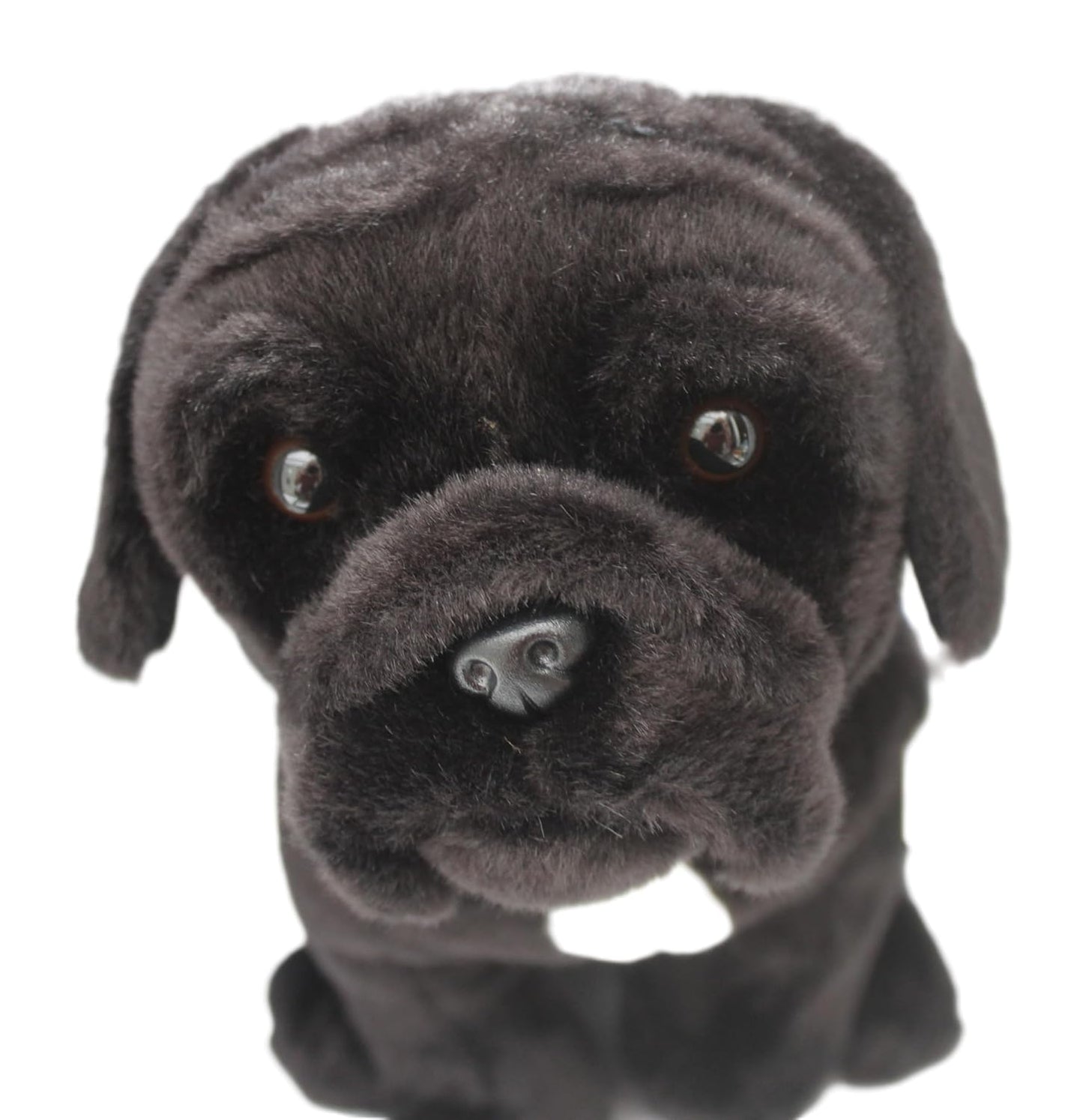 Cane Corso Plush Toy Dog - Personalized Gift with Tag & Wrap