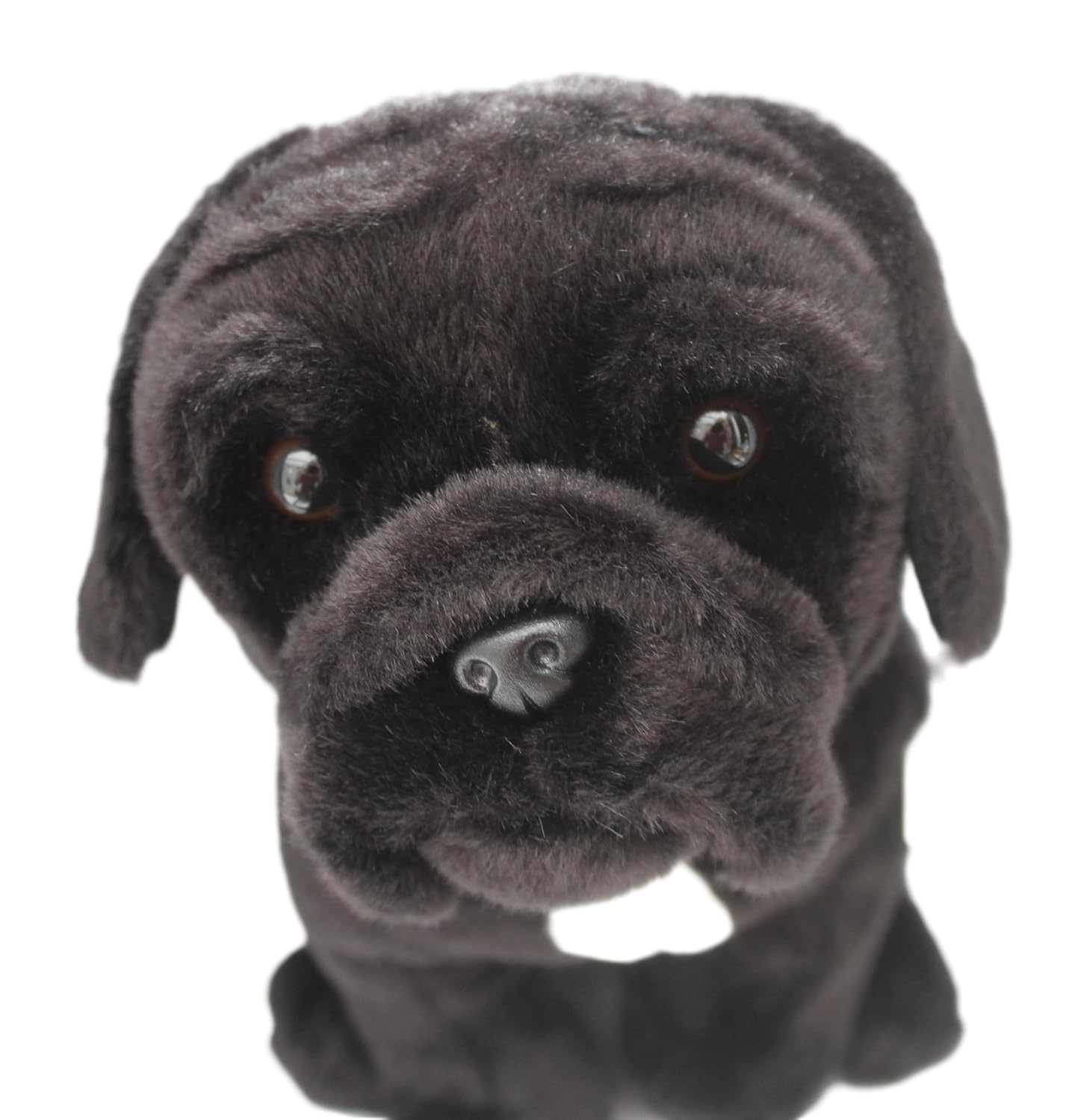 Cane Corso Plush Toy Dog - Personalized Gift with Tag & Wrap