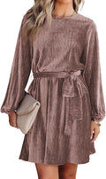 Velvet Lantern Sleeve A-Line Skater Dress - Flattering Fit for Events