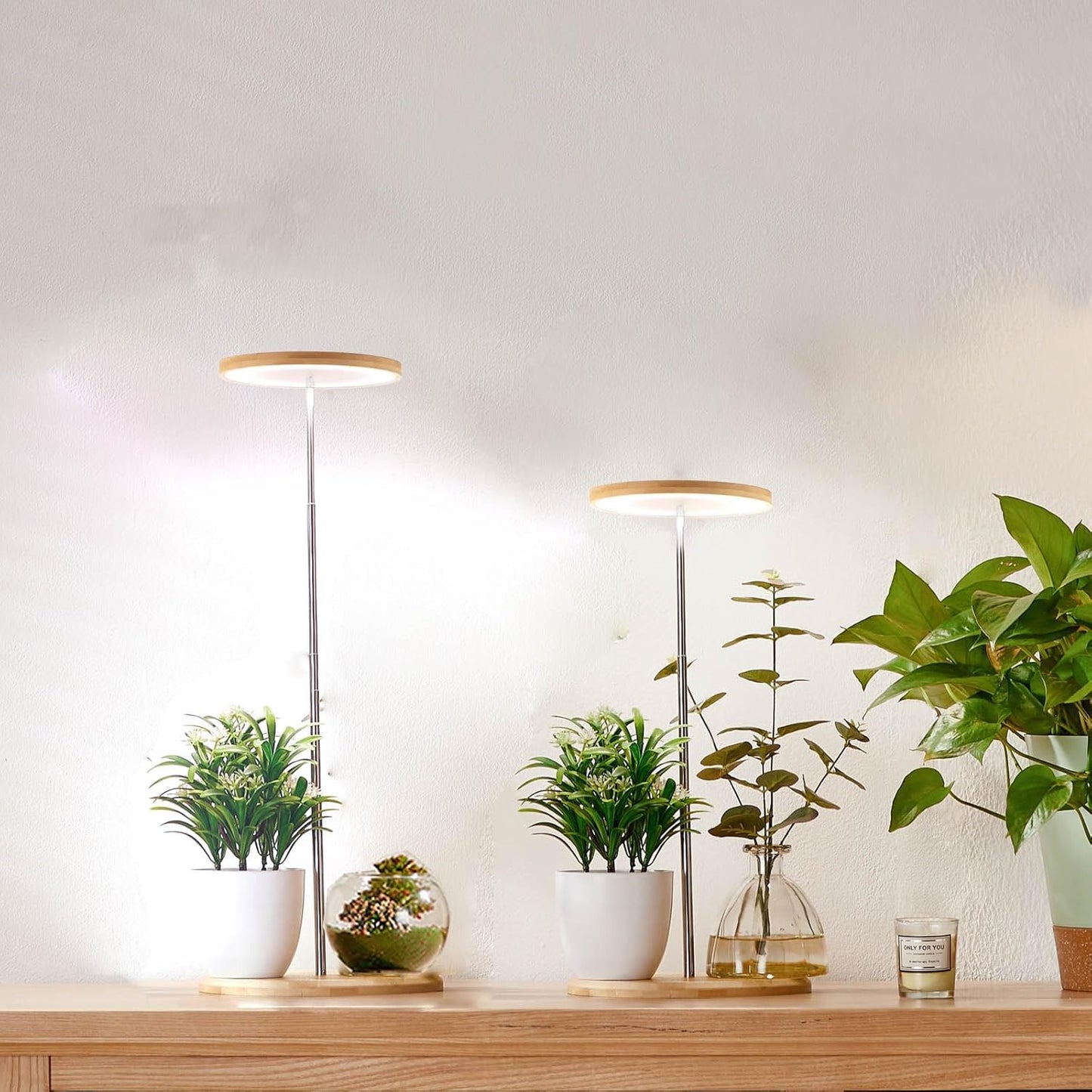 Plant Grow Light for Indoor Plants with Adjustable Height Timer