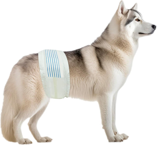 Super Absorbent BV Male Dog Diapers - 50 Count