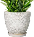 10 Inch Ceramic Planter Pot with Drainage Hole and Saucer - Modern