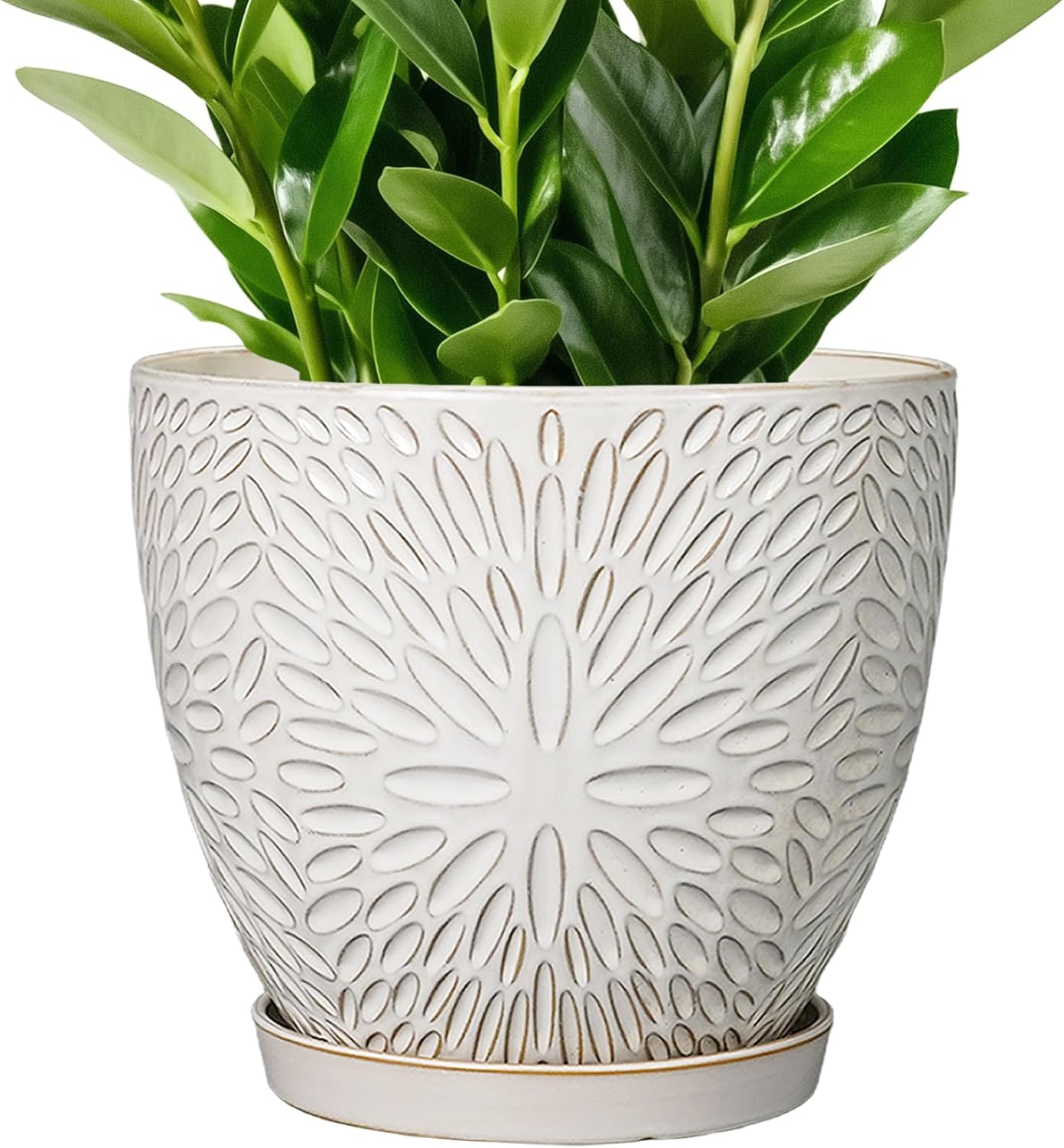 10 Inch Ceramic Planter Pot with Drainage Hole for Indoor Plants