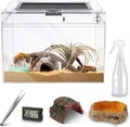 Reptile Terrarium Kit for Leopard Gecko and Tarantula Habitat