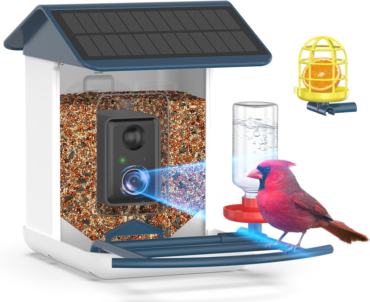 Wildlife Cam Feeder: AI Forever, Solar-Powered HD