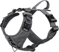 ICEFANG Dog Strap Harness Large Pack of 1 - Durable Y-Shape Vest